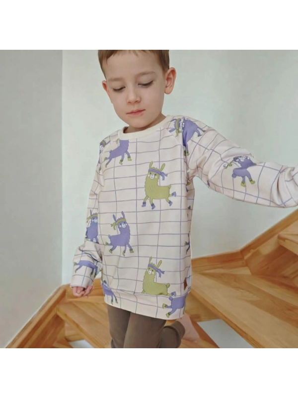 Lamy - bluza klasyczna