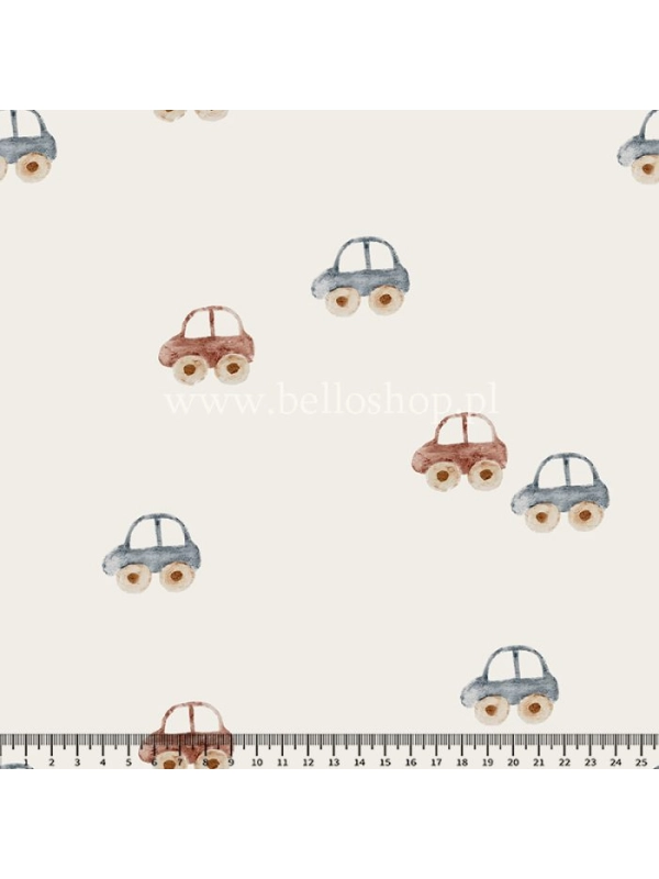 Retro cars - bluza klasyczna