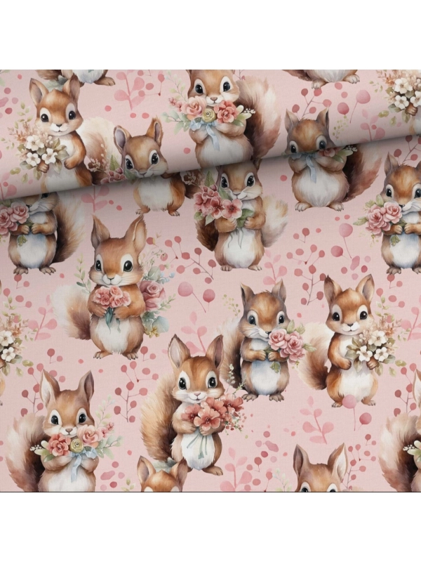 Wiewiórki - komplet bluza+legginsy