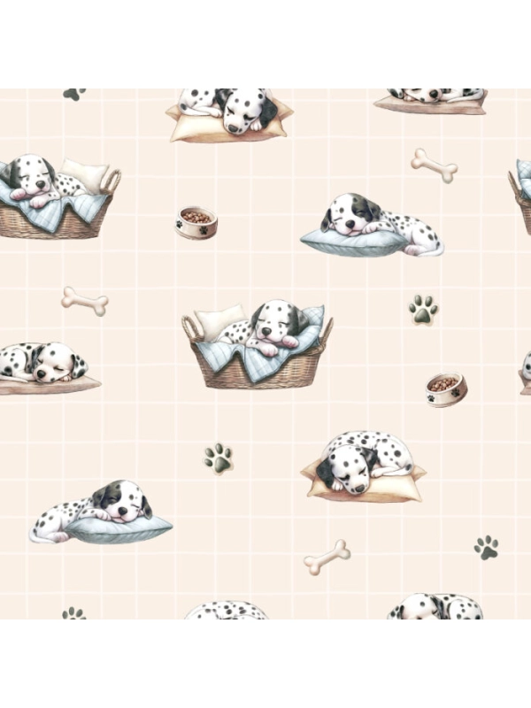 Słodkie dalmatyńczyki - bawełniana bluza klasyczna